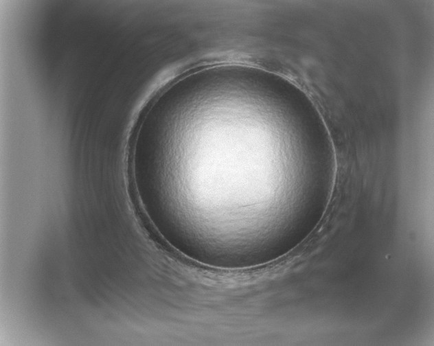 X0000071820006200607072155