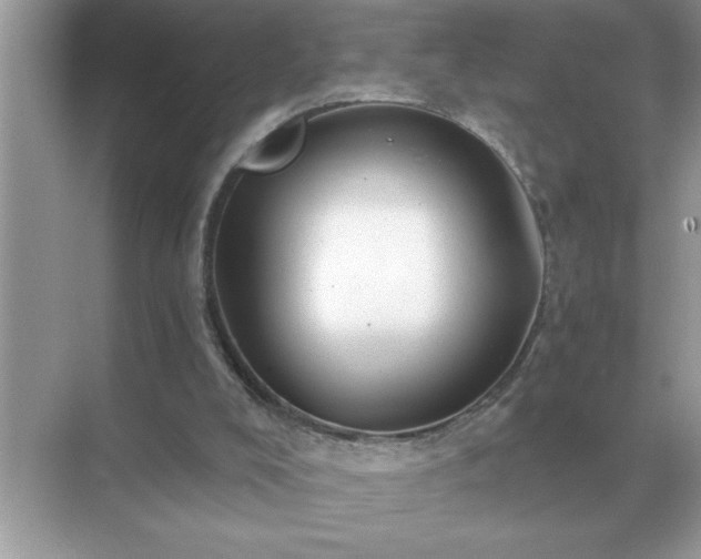 X0000071820008200607072155