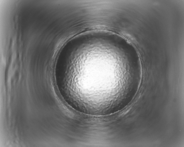 X0000071820049200607072153