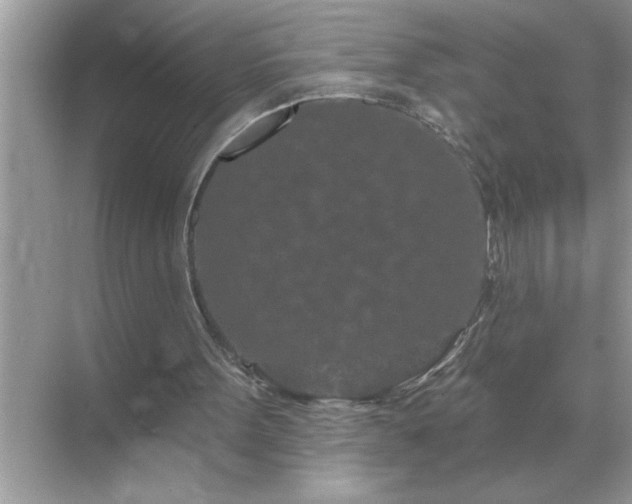 X0000071820099200607072153