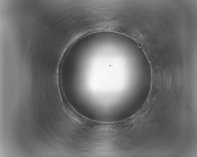 X0000071820100200607072153