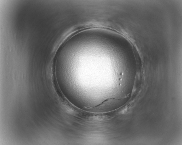 X0000071820103200607072153