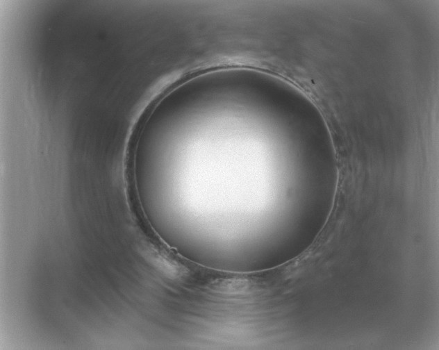X0000071820104200607072153