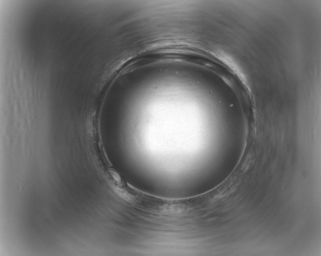 X0000071820105200607072153