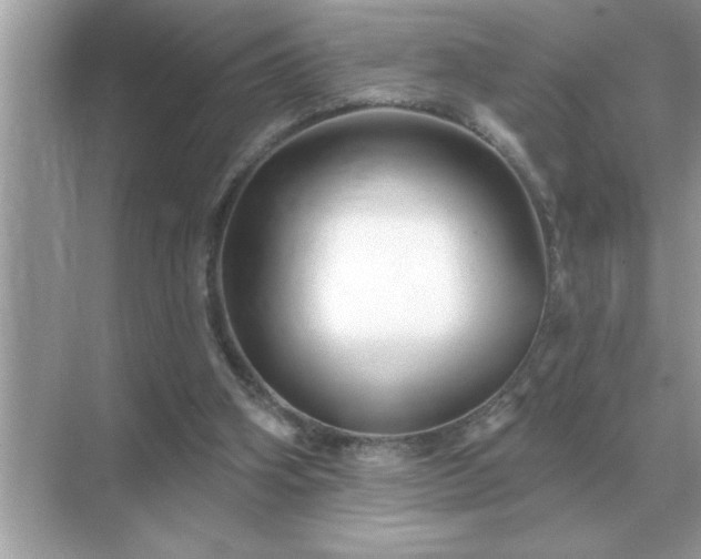 X0000071820106200607072153