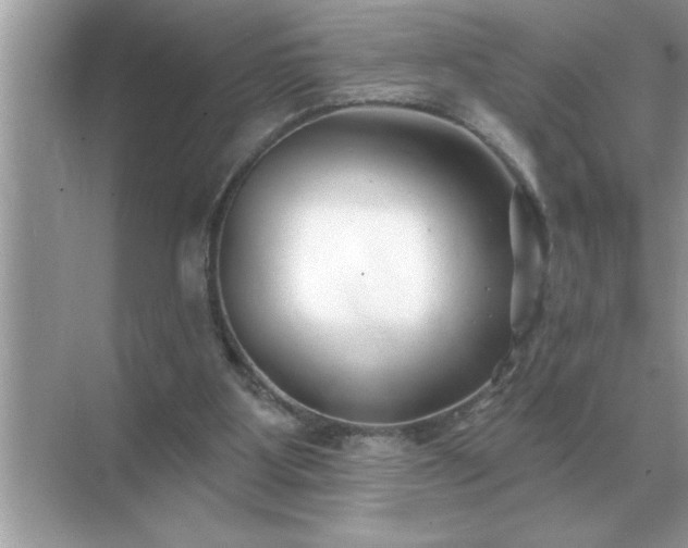 X0000071820107200607072153