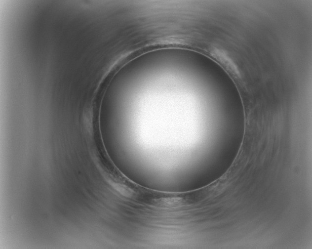 X0000071820108200607072153