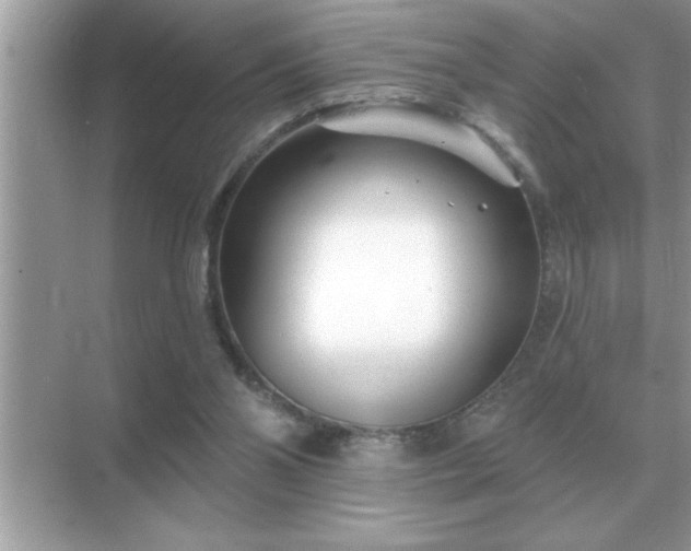 X0000071820110200607072153