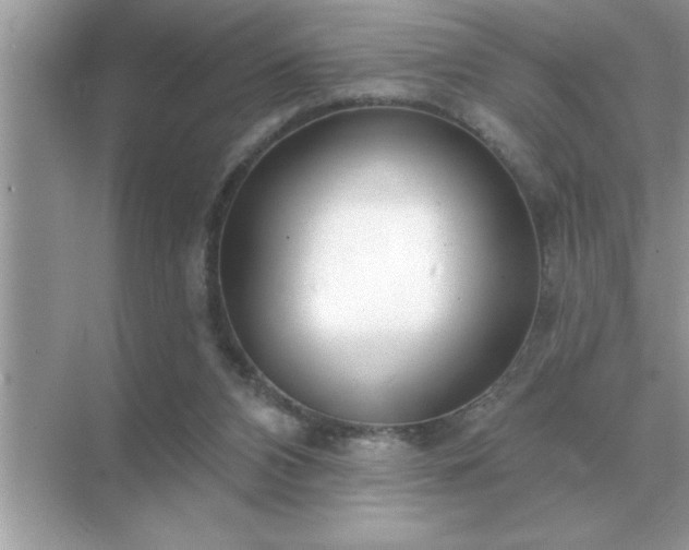 X0000071820112200607072153