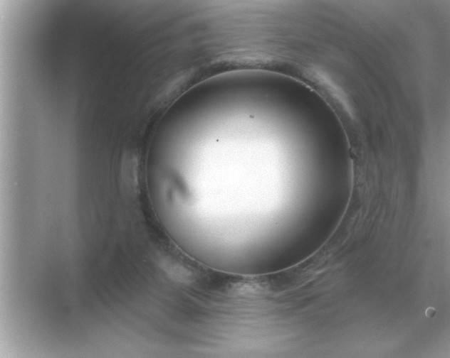 X0000071820115200607072153