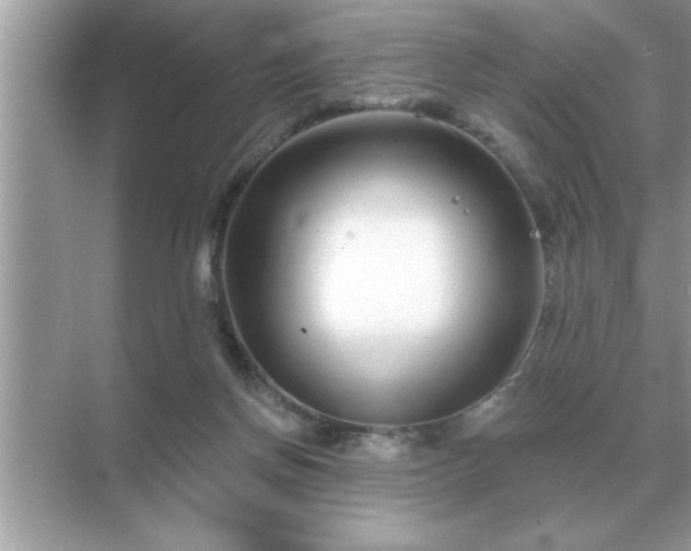 X0000071820166200607072152
