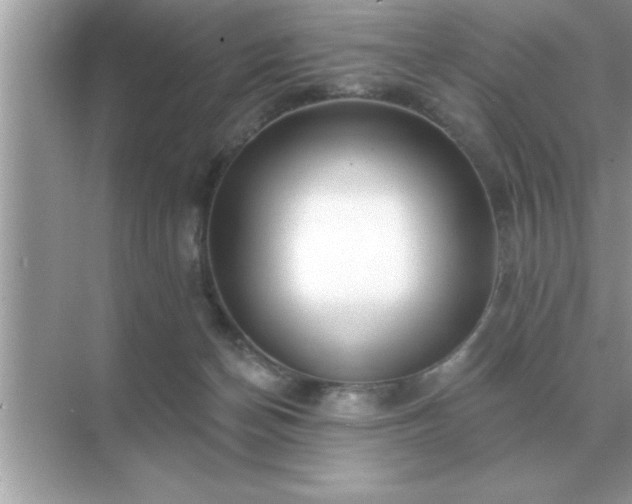 X0000071820174200607072152
