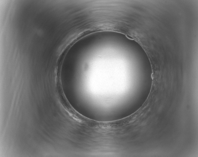X0000071820194200607072152