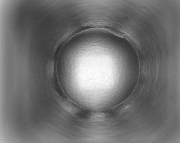X0000071820206200607072152