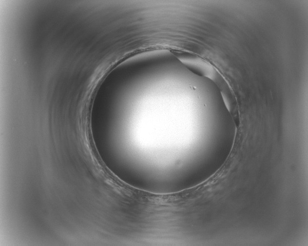 X0000071820241200607072150