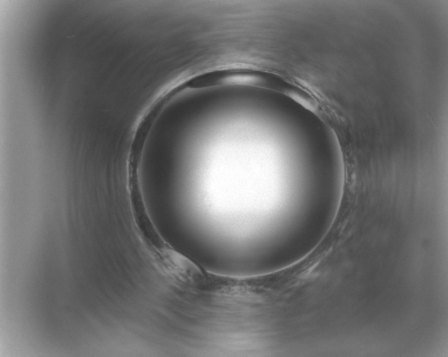 X0000071820244200607072150