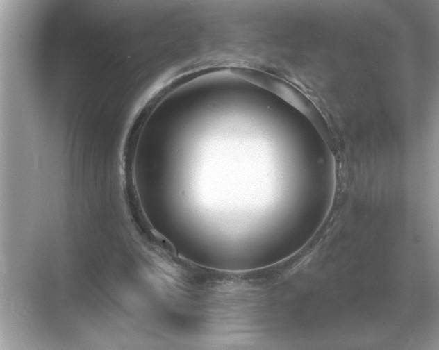 X0000071820246200607072150