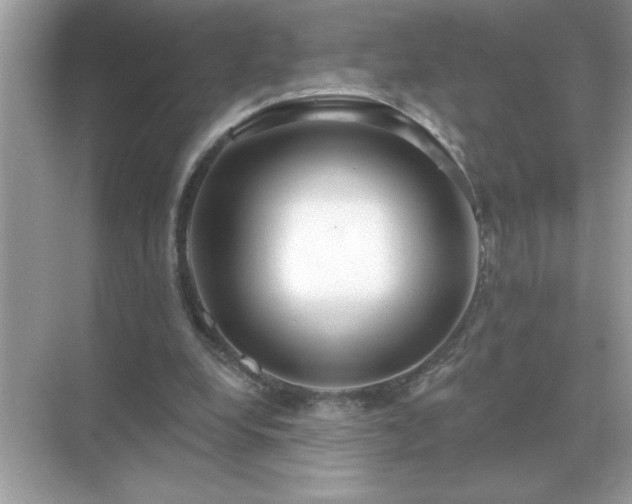 X0000071820248200607072150