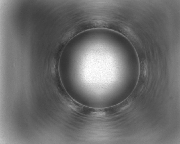 X0000071820266200607072151