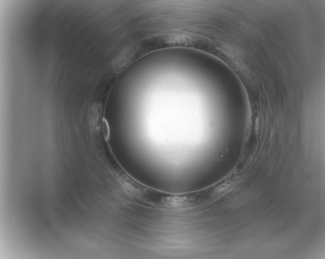X0000071820273200607072151