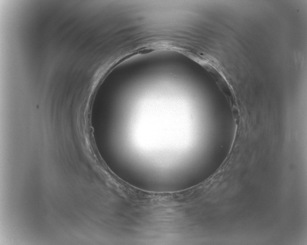 X0000071820289200607072150