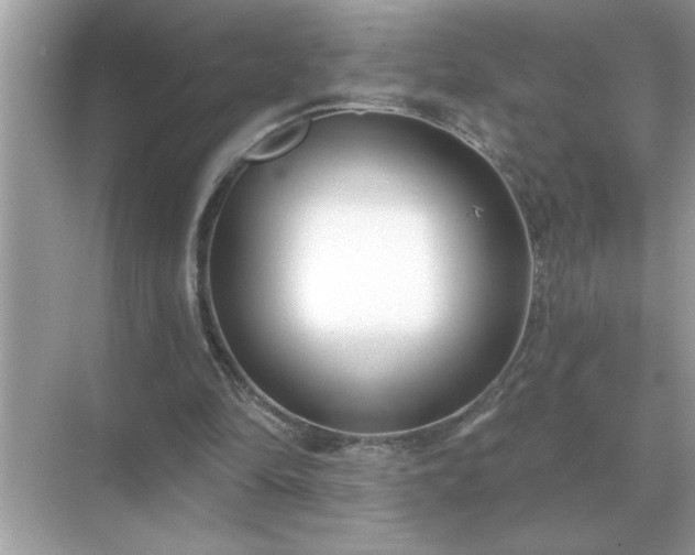 X0000071820294200607072150