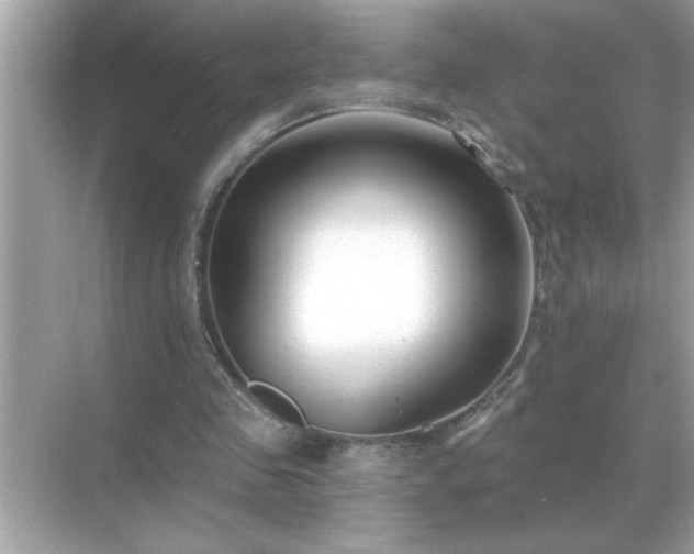 X0000071820341200607072149