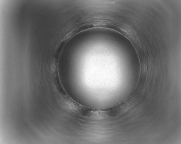 X0000071820367200607072149