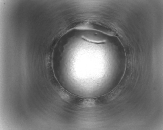 X0000071820369200607072149
