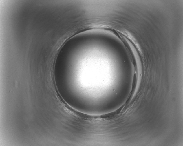 X0000071820385200607072149