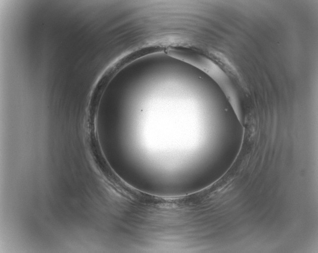X0000071820392200607072149