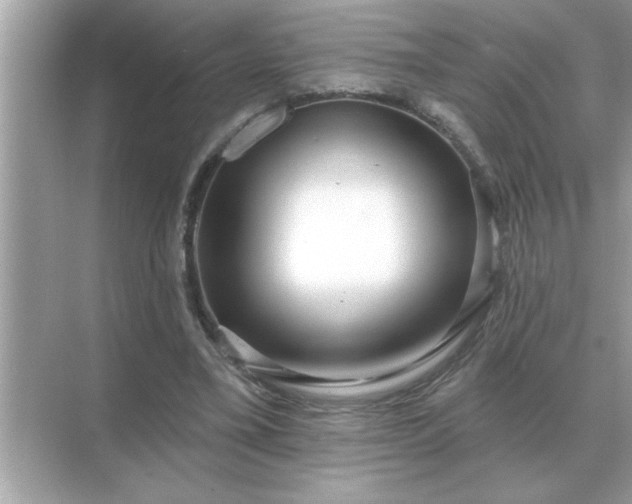 X0000071820395200607072148