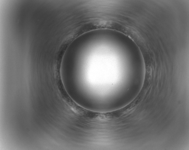 X0000071820416200607072148