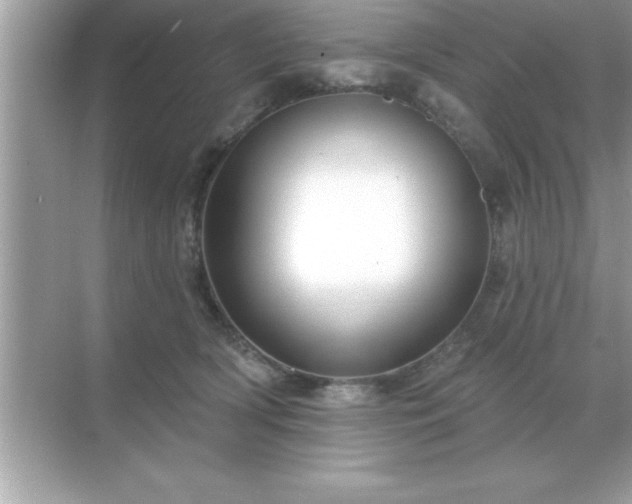 X0000071820418200607072148