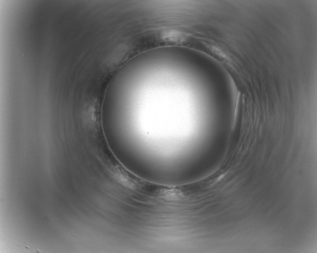 X0000071820424200607072148