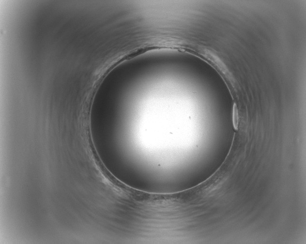 X0000071820433200607072147