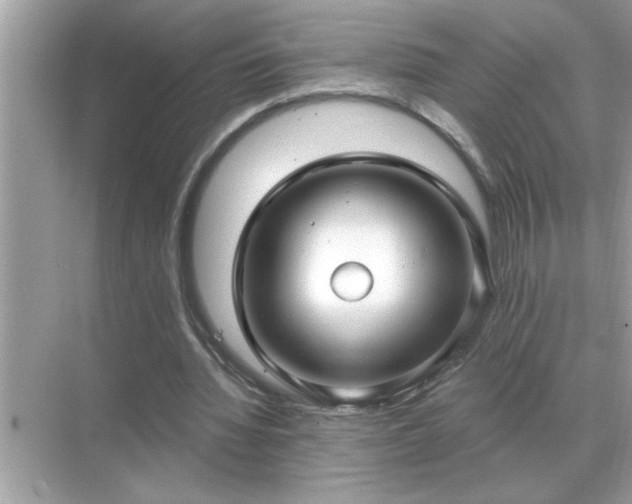 X0000071820436200607072147