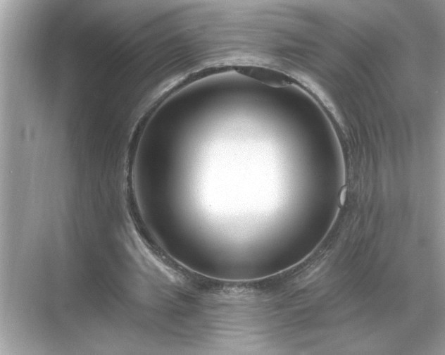 X0000071820437200607072147