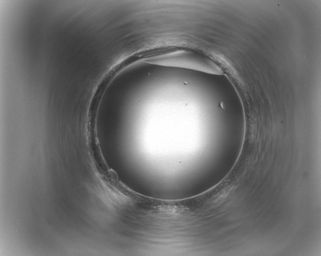 X0000071820439200607072147