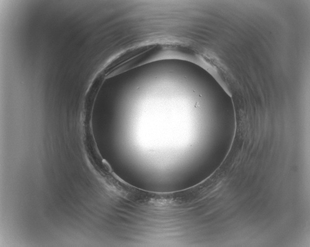 X0000071820440200607072147