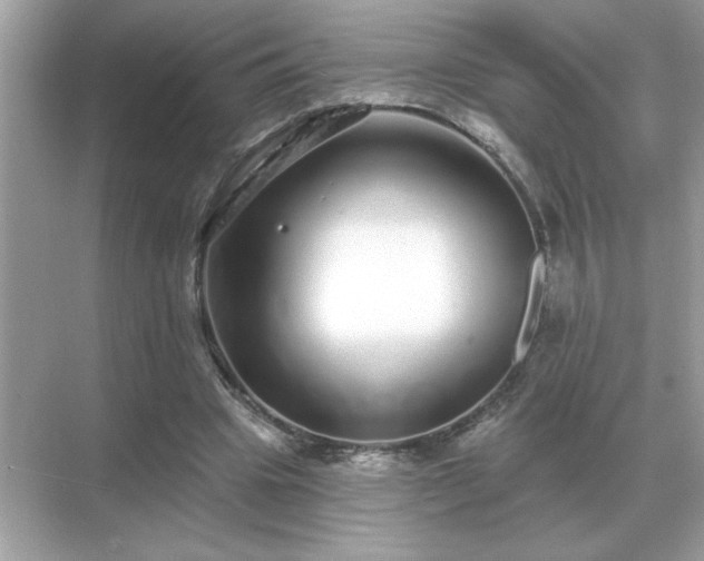 X0000071820441200607072147