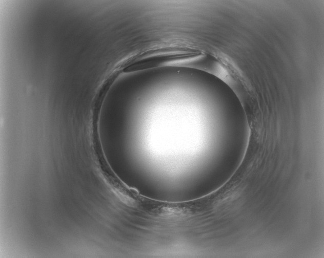X0000071820442200607072147