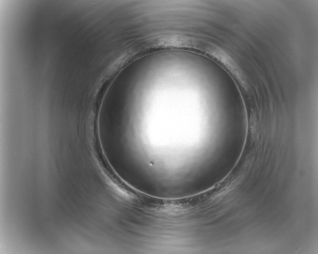 X0000071820445200607072147