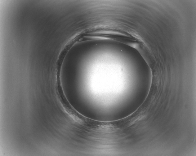 X0000071820446200607072147