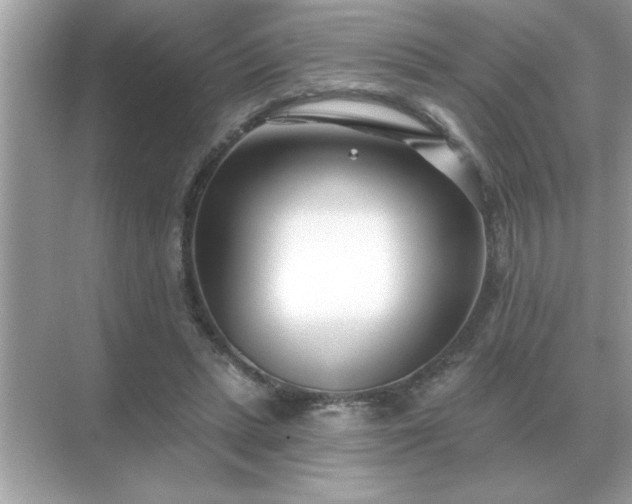 X0000071820447200607072147