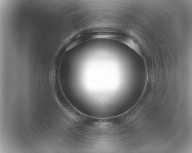 X0000071820448200607072147