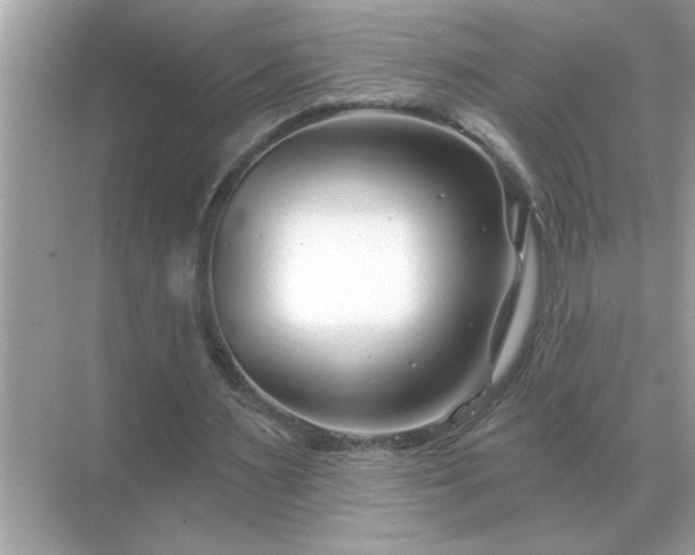 X0000071820483200607072147