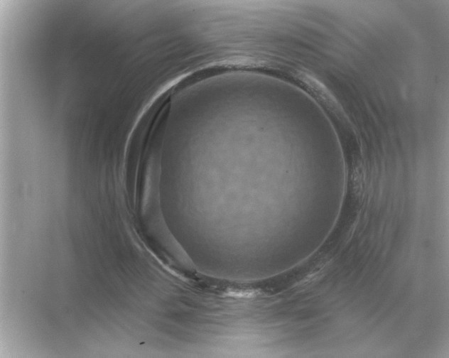 X0000071820484200607072147