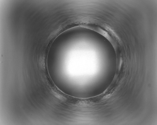 X0000071820489200607072147