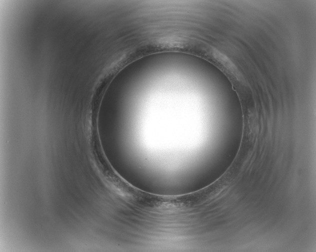 X0000071820494200607072147